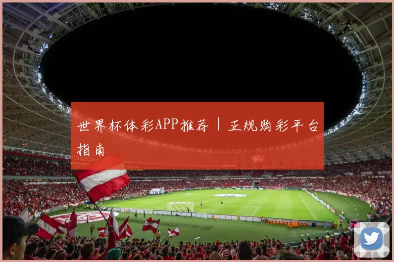 世界杯体彩APP推荐｜正规购彩平台指南