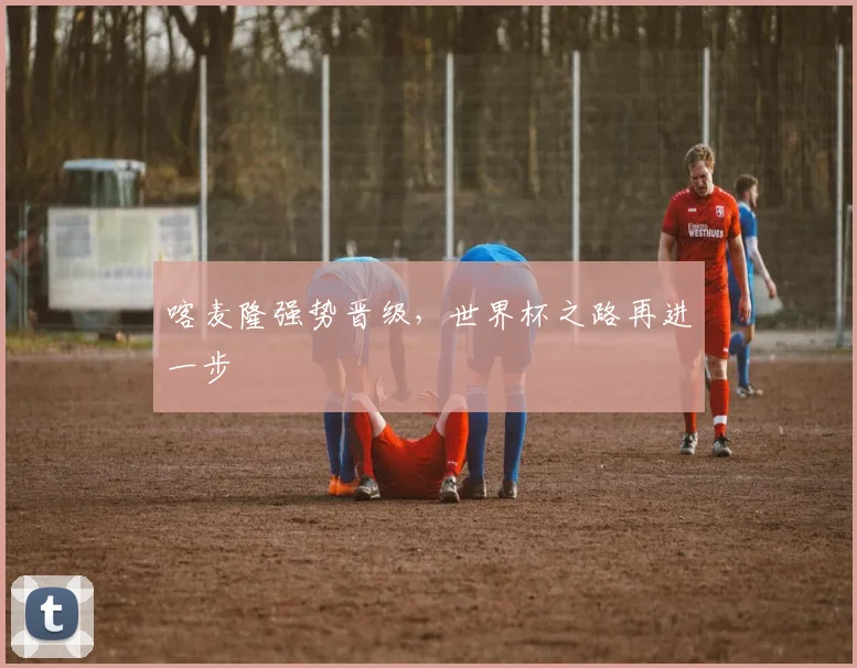 喀麦隆强势晋级，世界杯之路再进一步