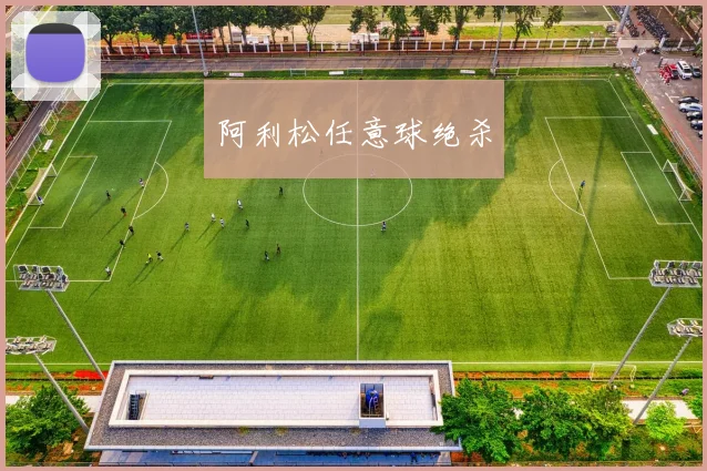 阿利松任意球绝杀
