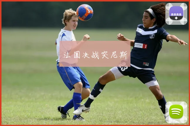 法国决战突尼斯