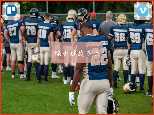瑞士迎战芬兰