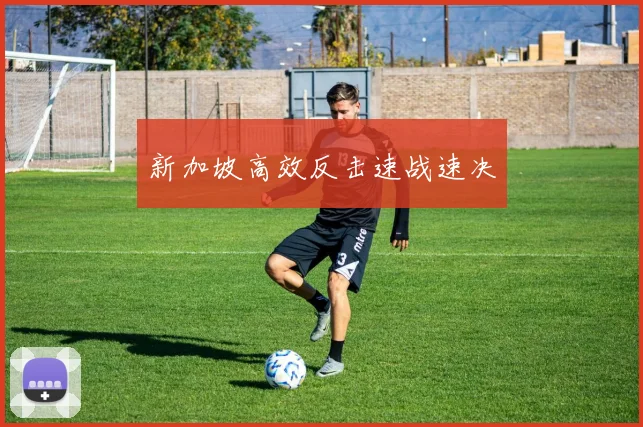 新加坡高效反击速战速决