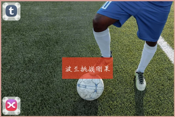 波兰挑战刚果