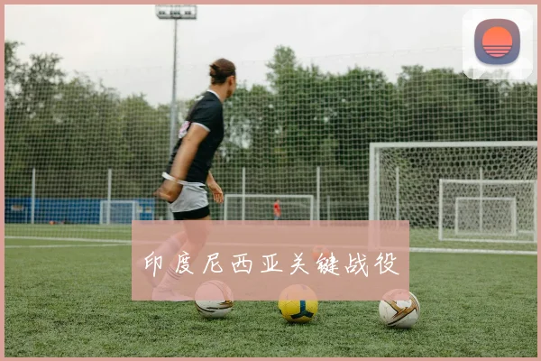 印度尼西亚关键战役