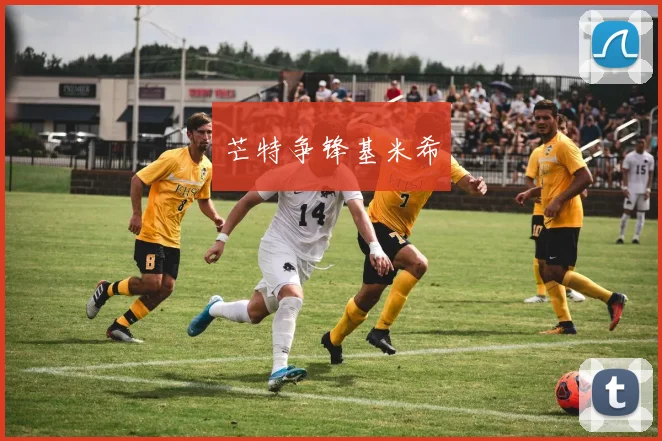 芒特争锋基米希