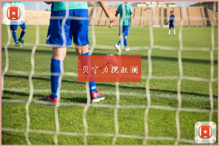 贝宁力挽狂澜
