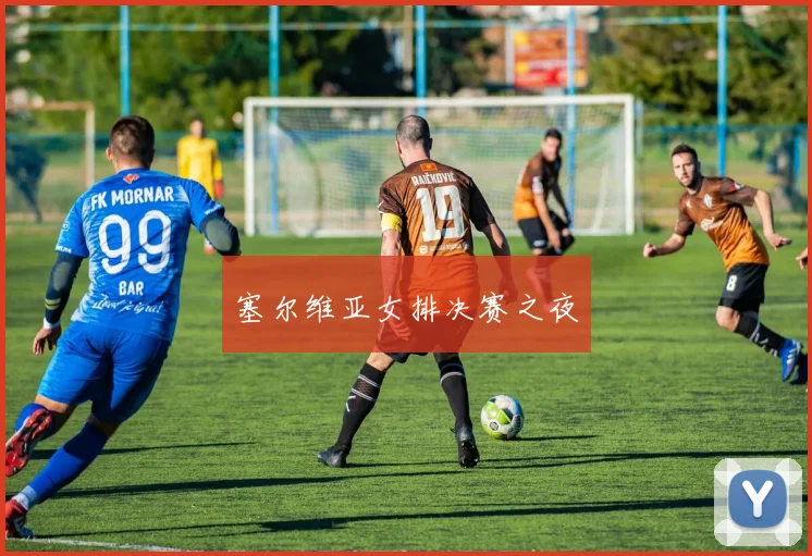塞尔维亚女排决赛之夜
