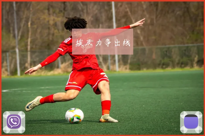埃及力争出线