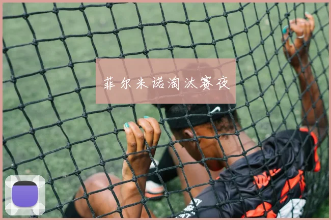 菲尔米诺淘汰赛夜