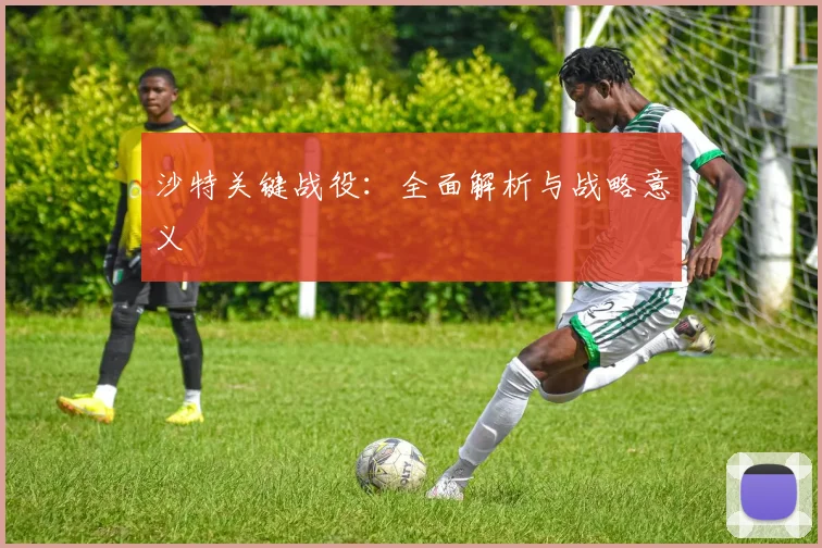 沙特关键战役：全面解析与战略意义