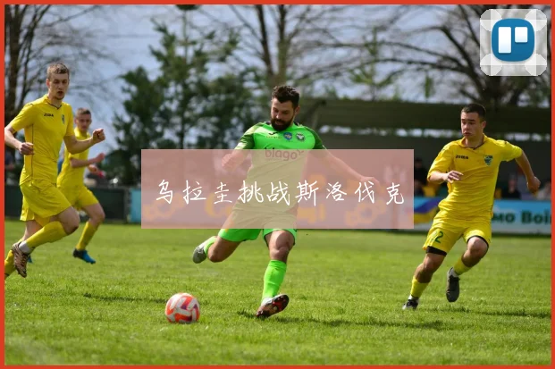 乌拉圭挑战斯洛伐克