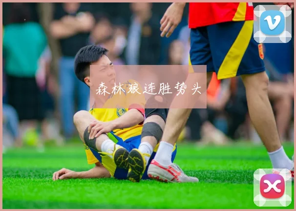 森林狼连胜势头