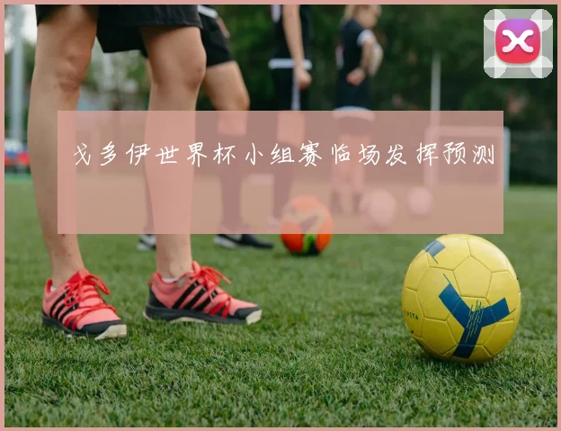 戈多伊世界杯小组赛临场发挥预测