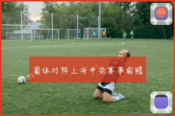 葡体对阵上海申花赛事前瞻