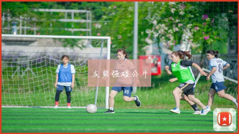 灰熊强碰公牛