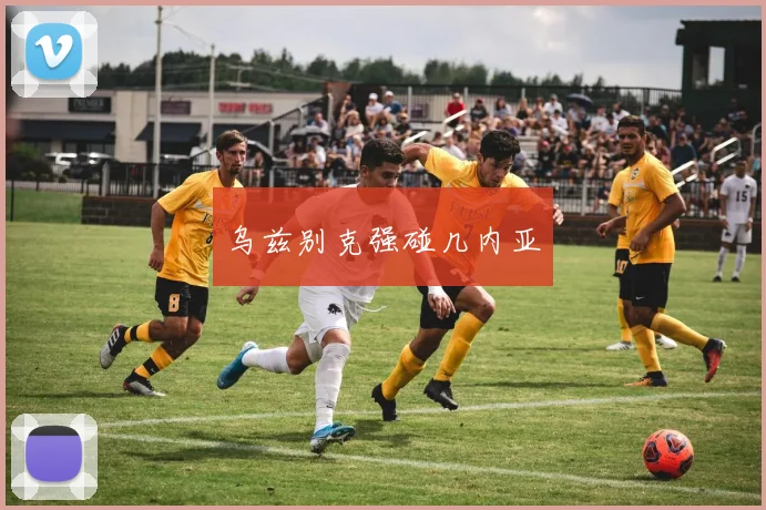 乌兹别克强碰几内亚
