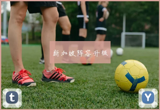 新加坡阵容升级