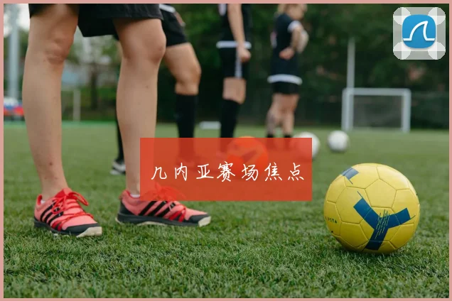 几内亚赛场焦点