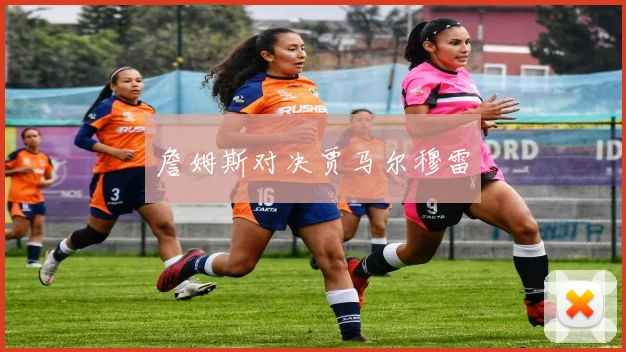 詹姆斯对决贾马尔穆雷
