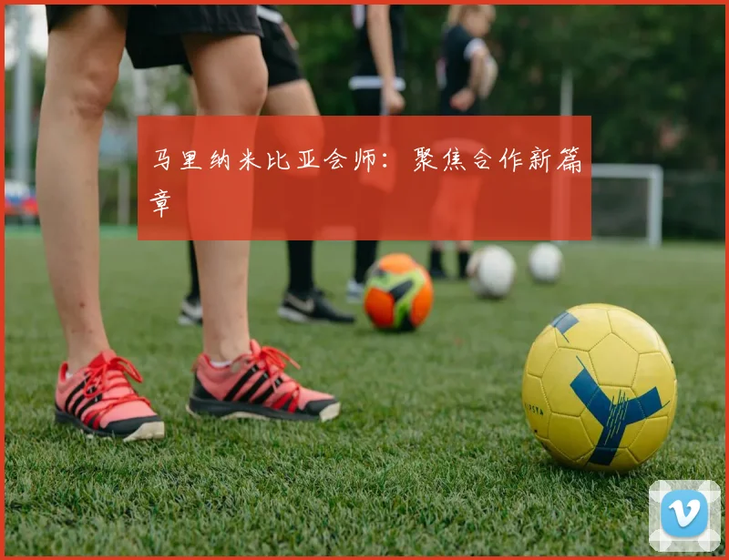 马里纳米比亚会师:聚焦合作新篇章
