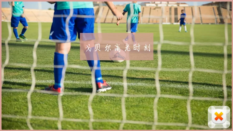 戈贝尔高光时刻