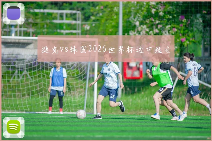 捷克vs韩国2026世界杯边中结合