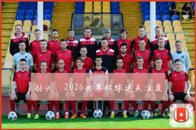 孙兴慜2026世界杯球迷关注度