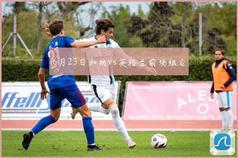 6月23日加纳vs英格兰前场组合