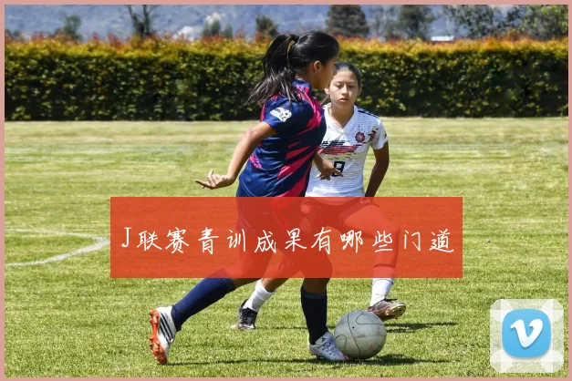 J联赛青训成果有哪些门道