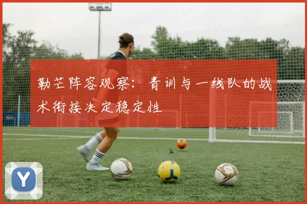 勒芒阵容观察：青训与一线队的战术衔接决定稳定性