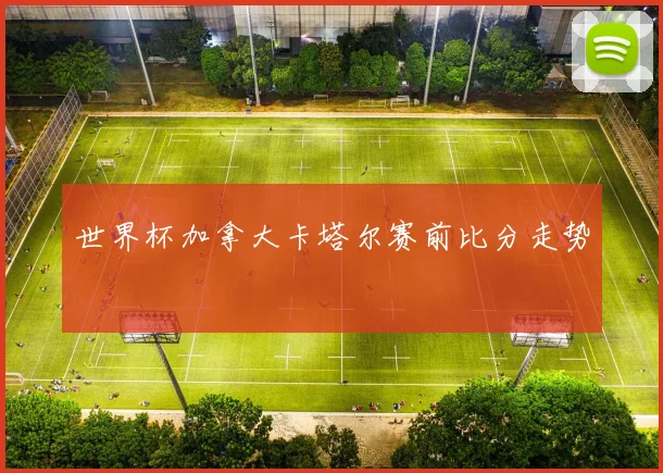 世界杯加拿大卡塔尔赛前比分走势