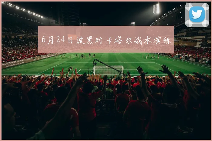 6月24日波黑对卡塔尔战术演练