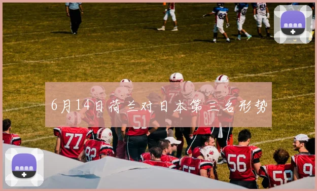 6月14日荷兰对日本第三名形势